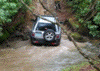 A Wading Freelander